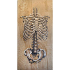Jordan Marney - "Skeletal Study"