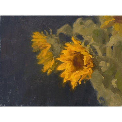 Aaron Coberly - "Sunflower"